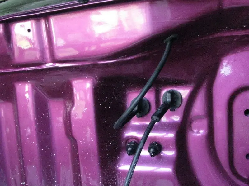 Candy Pink Integra, photo 191