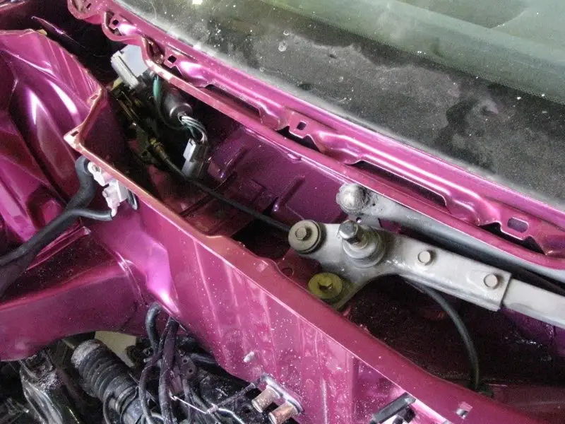 Candy Pink Integra, photo 190