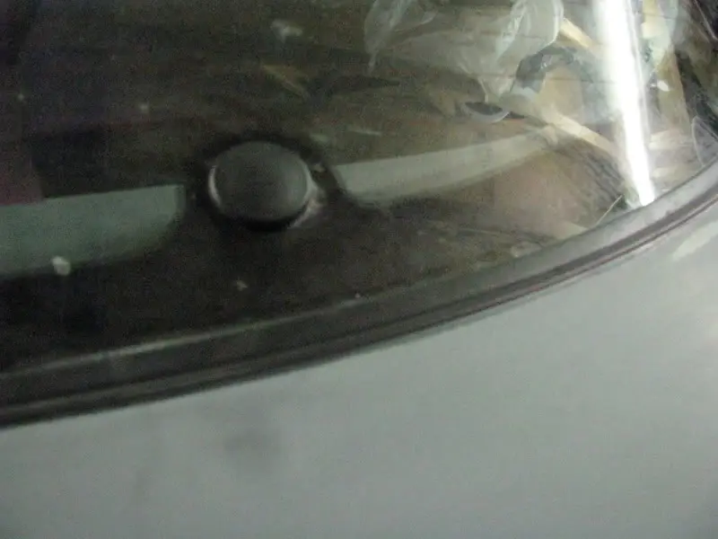 Candy Pink Integra, photo 183