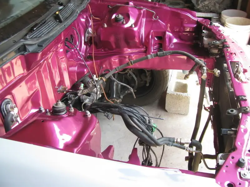 Candy Pink Integra, photo 189