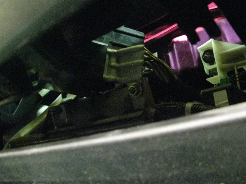 Candy Pink Integra, photo 219
