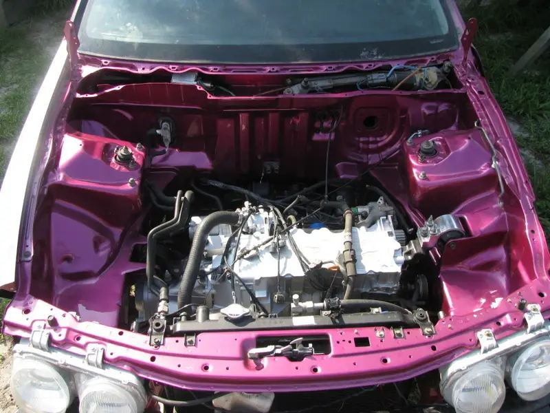 Candy Pink Integra, photo 226