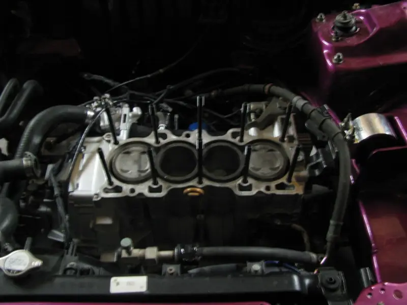 Candy Pink Integra, photo 228