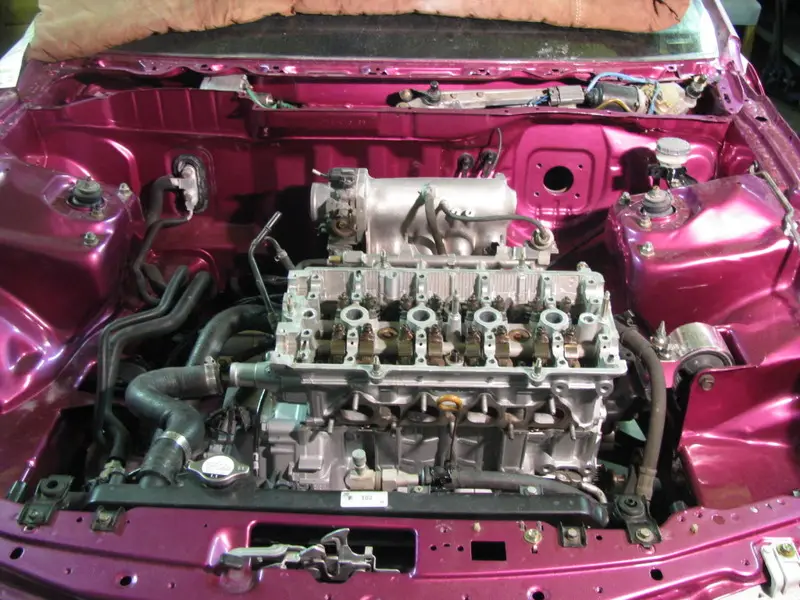 Candy Pink Integra, photo 229