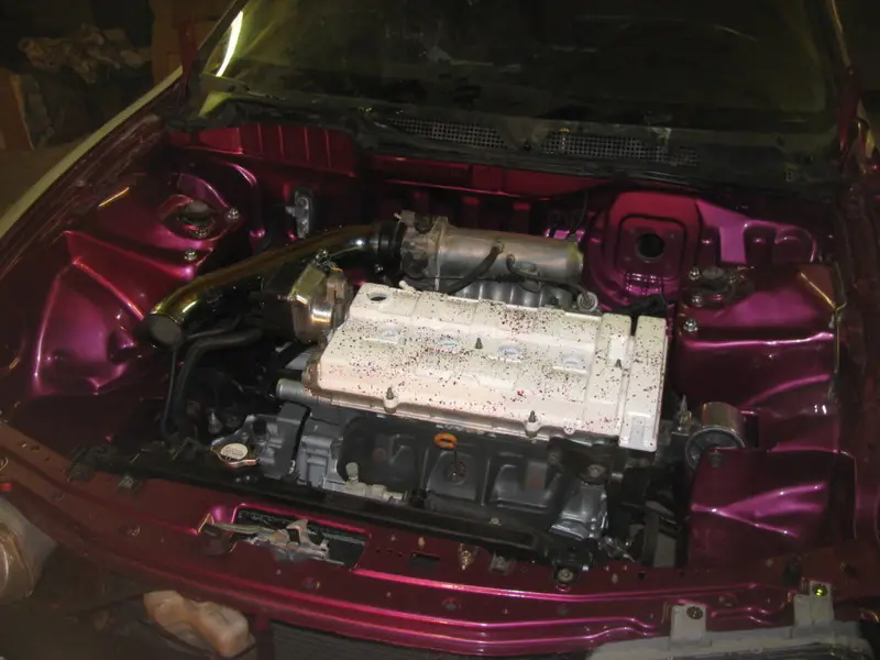 Candy Pink Integra, photo 232