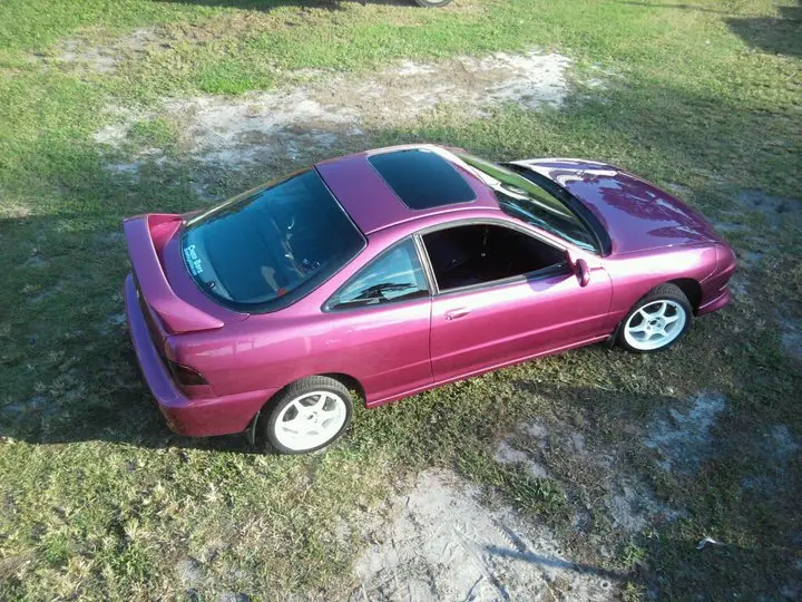 Candy Pink Integra, photo 274