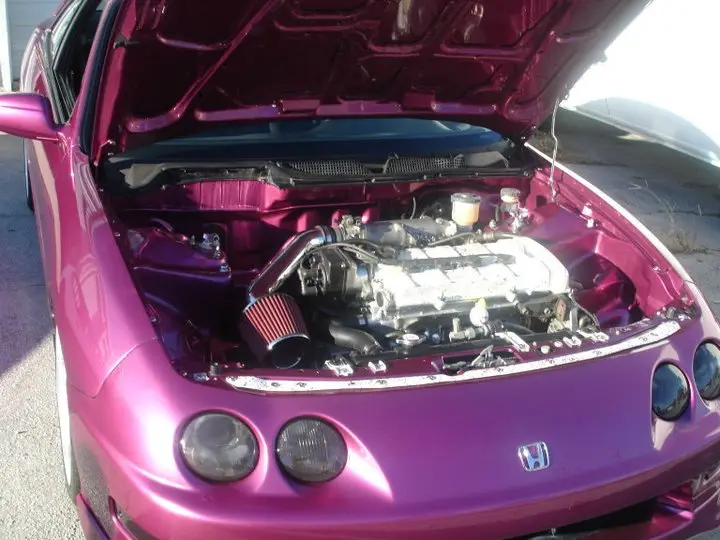 Candy Pink Integra, photo 278