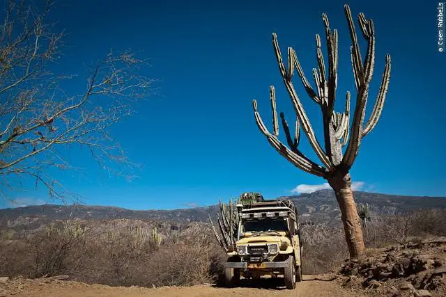 1984 Land Cruiser BJ45 World Rig, photo 450