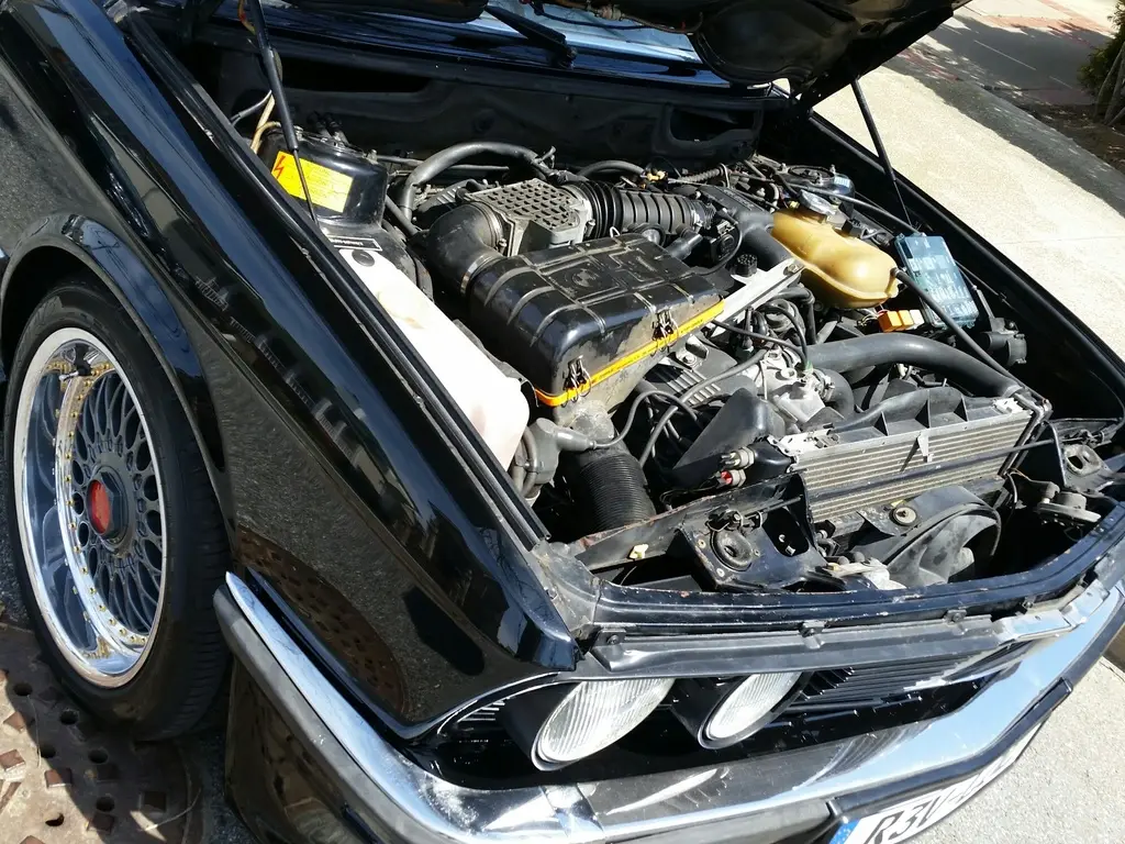 1987 BMW 535i M5 Tribute, photo 23