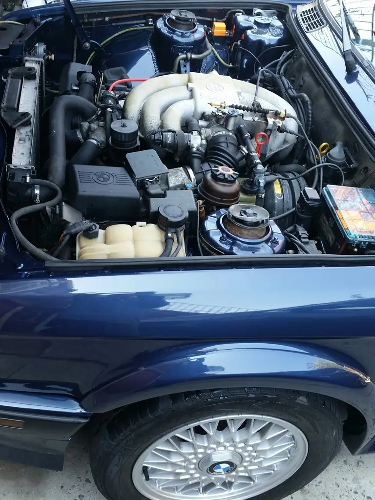 1991 BMW 325iX with Shaved Doors, photo 41